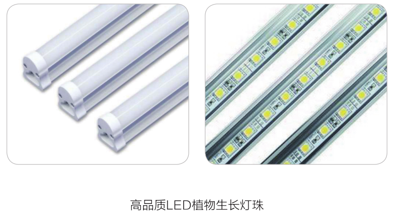 上海一恒LED光源光照培養(yǎng)箱系列產品介紹(圖5)